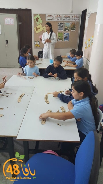 cimikal day (11).jpg